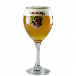 Verre à bière Lupulus 33 cl élégant et de qualité supérieure